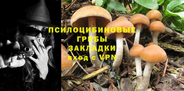 стафф Бугульма