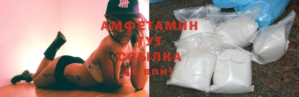 молекула духа Бронницы