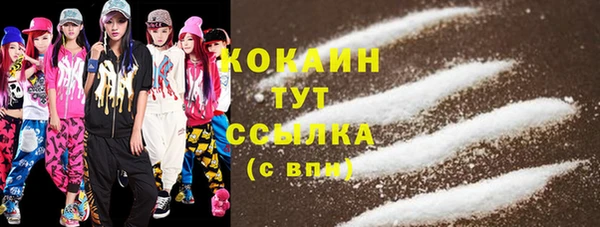 молекула духа Бронницы